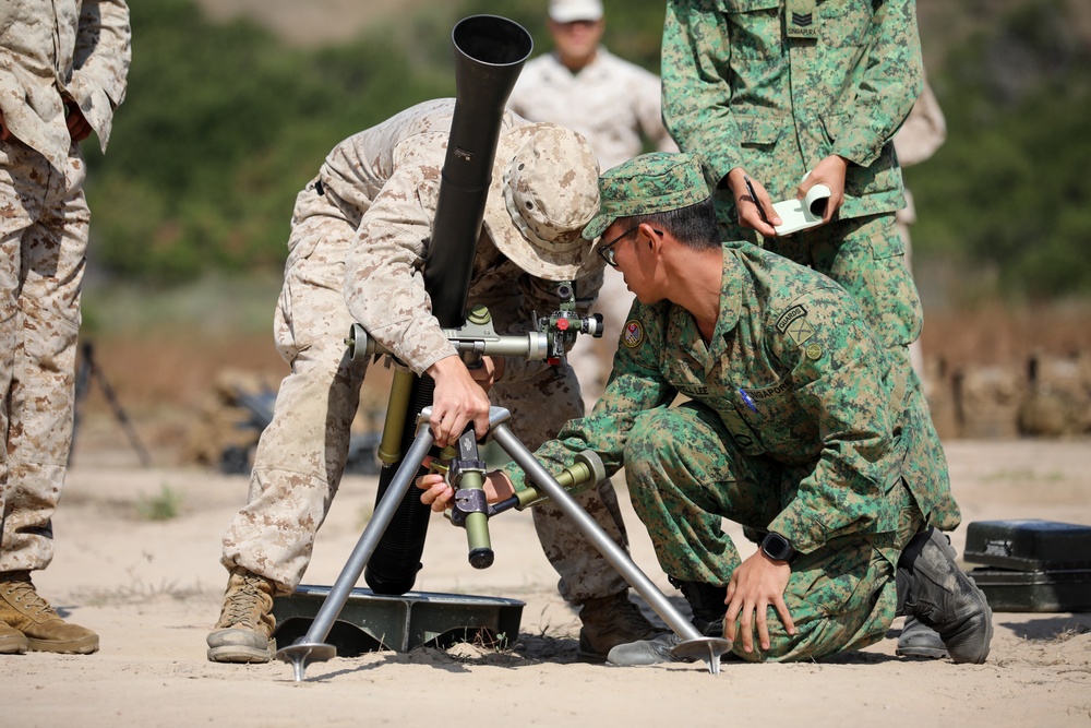Valiant Mark 23: Mortar SMEE