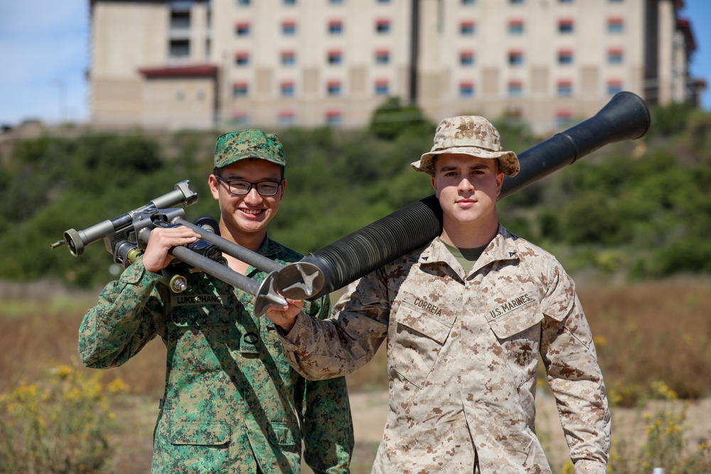 Valiant Mark 23: Mortar SMEE