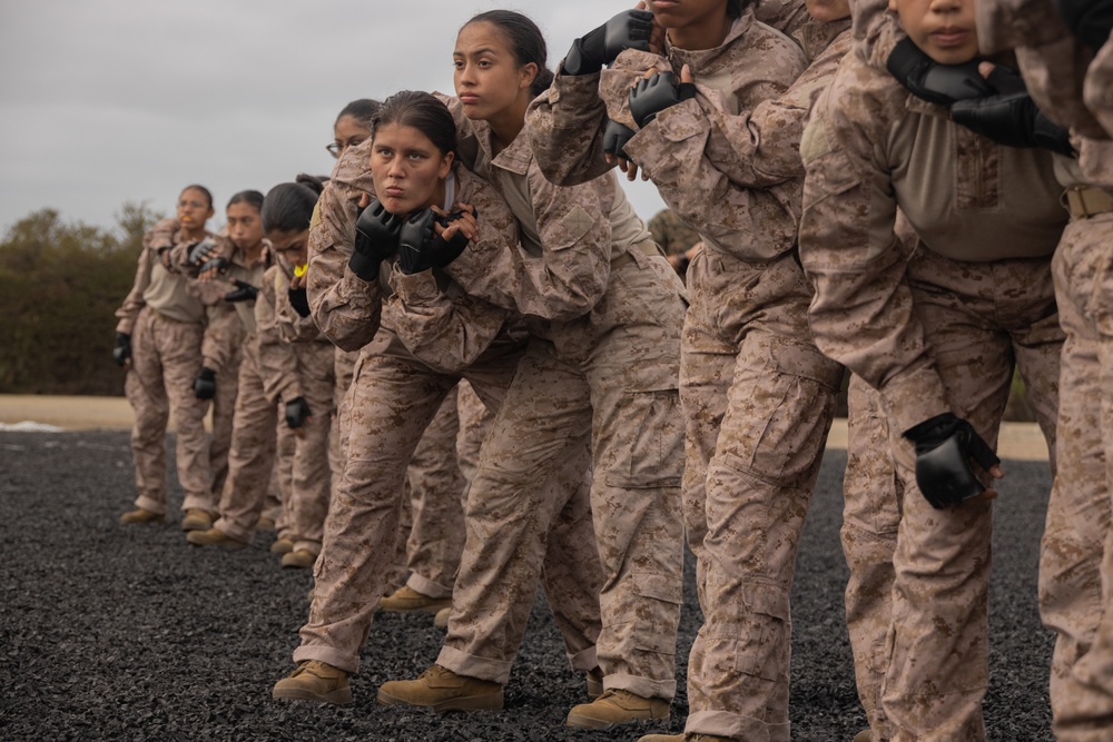 Fox Company Marine Corps Martial Arts Program