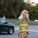 Sparky reminds motorists about fire prevention