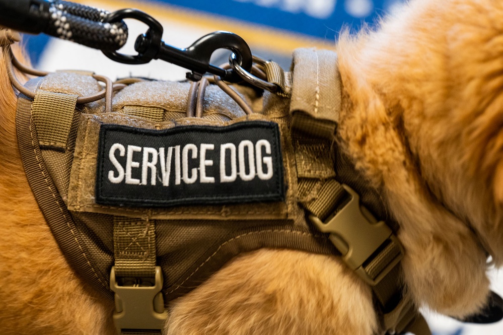 New support dog at the 139th Airlift Wing