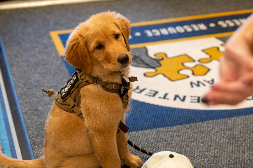 New support dog at the 139th Airlift Wing