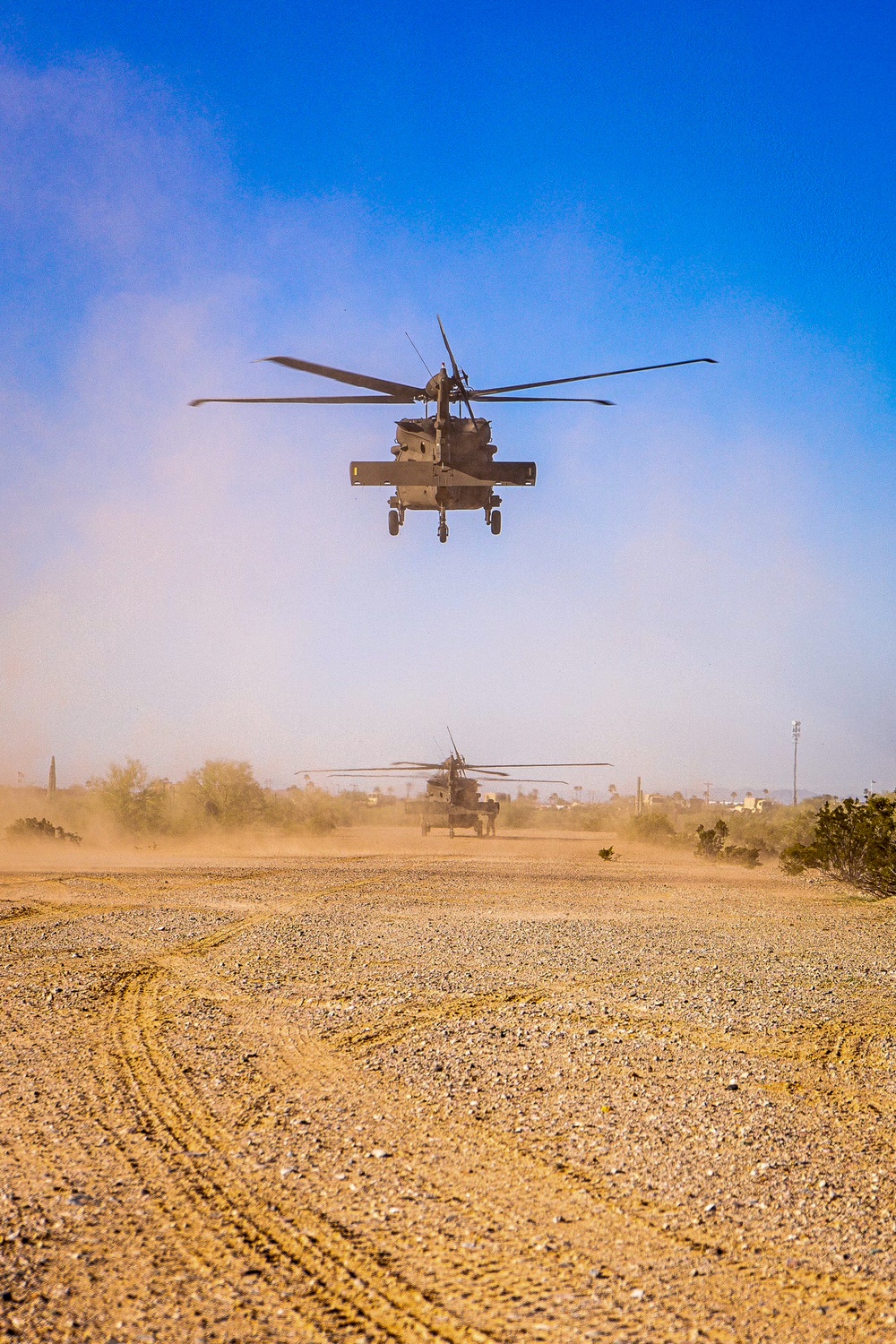 UH-60 Black Hawks Landing