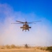 UH-60 Black Hawks Landing