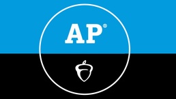 107 DoDEA Americas students earn AP scholar awards