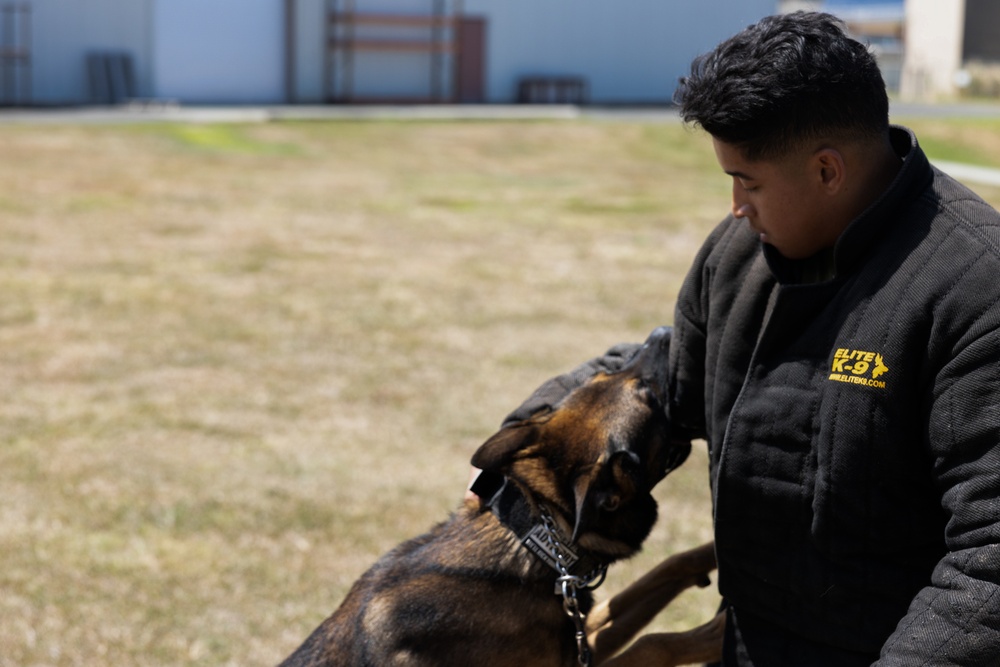 Broadening Horizons: Junior ROTC Cadets experience Marine Corps Base Hawaii