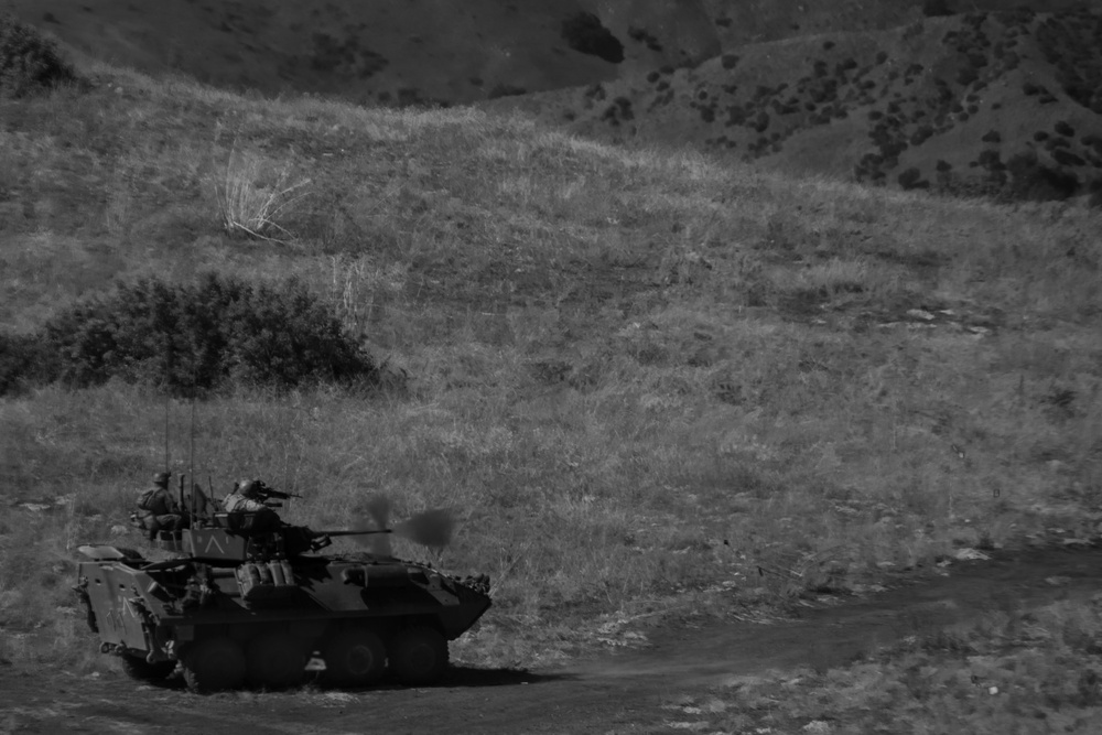 Valiant Mark 2023: LAR Anti-Tank Range