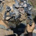 Valiant Mark 2023: LAR Anti-Tank Range
