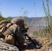 Valiant Mark 2023: LAR Anti-Tank Range