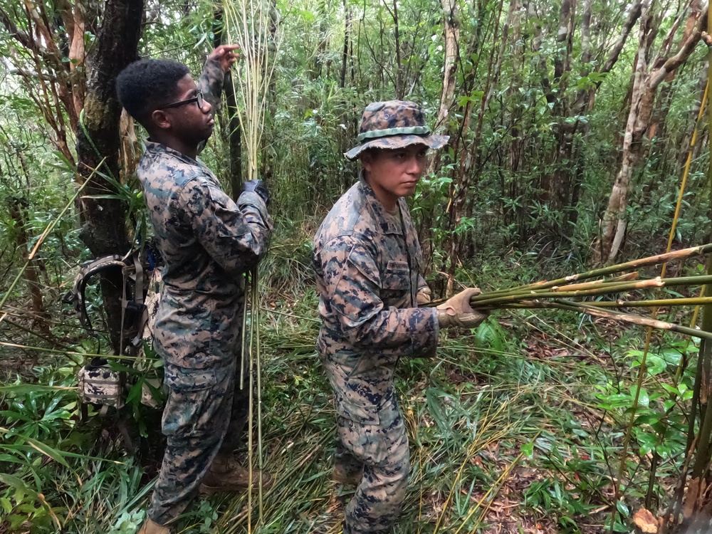 Basic Jungle Skills Course with 5th ANGLICO