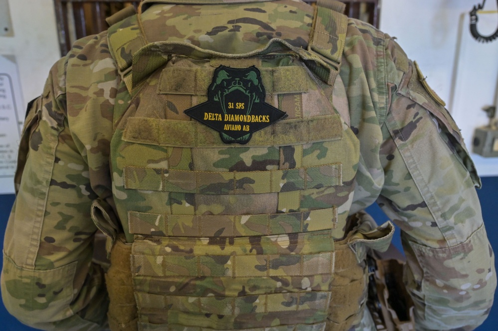 Defenders in the Armory