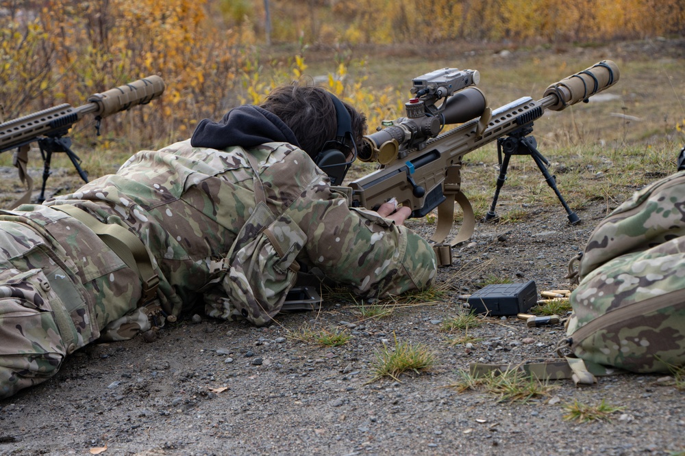 Adamant Serpent 2023: Bardufoss final training event