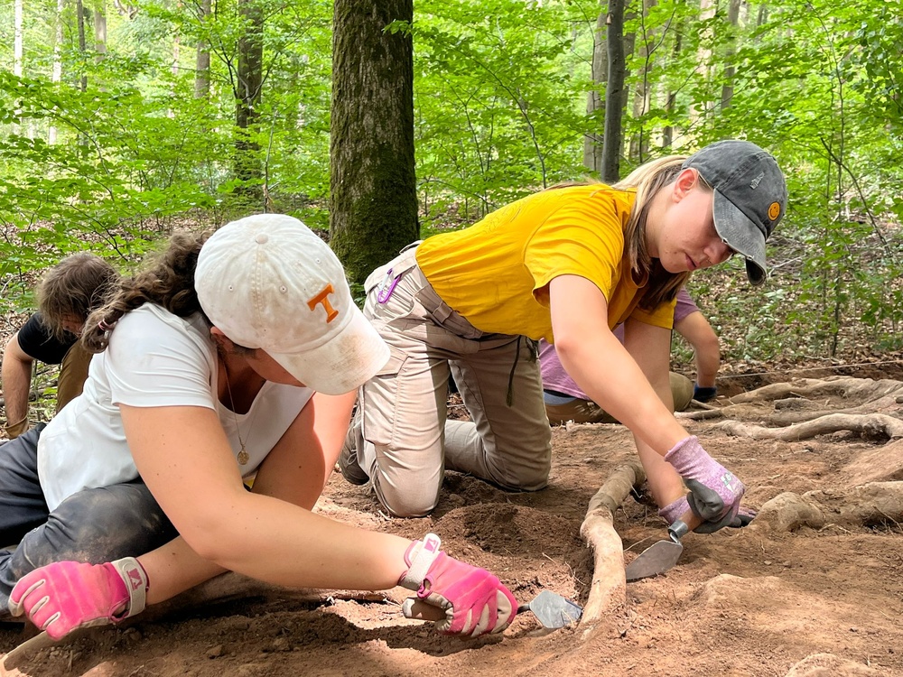 Defense POW/MIA Accounting Agency Partner performs Recovery Fieldwork in Germany