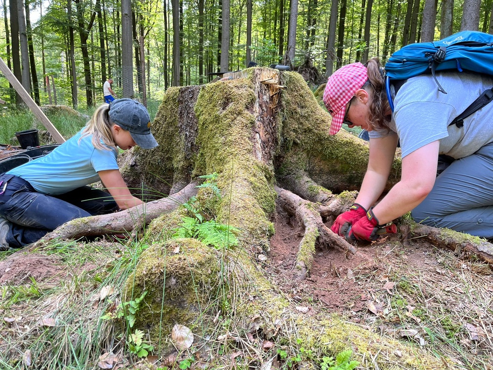 Defense POW/MIA Accounting Agency Partner performs Recovery Fieldwork in Germany
