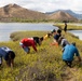 Nu'upia Guardians: Paepae o He’eia Members Remove Invasive Plant Species From Nu’upia Fishpond