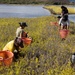 Nu'upia Guardians: Paepae o He’eia Members Remove Invasive Plant Species From Nu’upia Fishpond