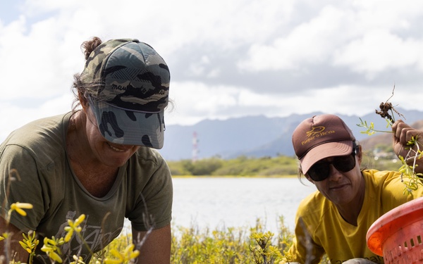 Nu'upia Guardians: Paepae o He’eia Members Remove Invasive Plant Species From Nu’upia Fishpond