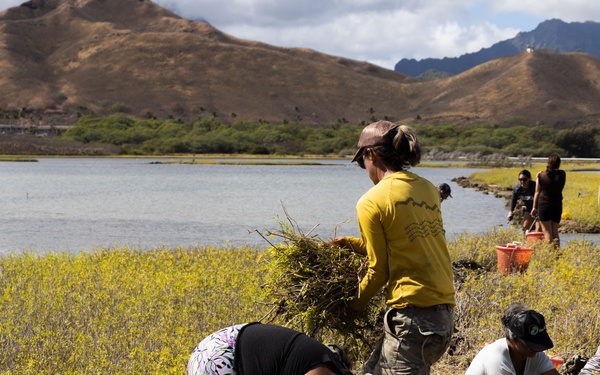 Nu'upia Guardians: Paepae o He’eia Members Remove Invasive Plant Species From Nu’upia Fishpond
