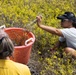 Nu'upia Guardians: Paepae o He’eia Members Remove Invasive Plant Species From Nu’upia Fishpond