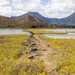 Nu'upia Guardians: Paepae o He’eia Members Remove Invasive Plant Species From Nu’upia Fishpond