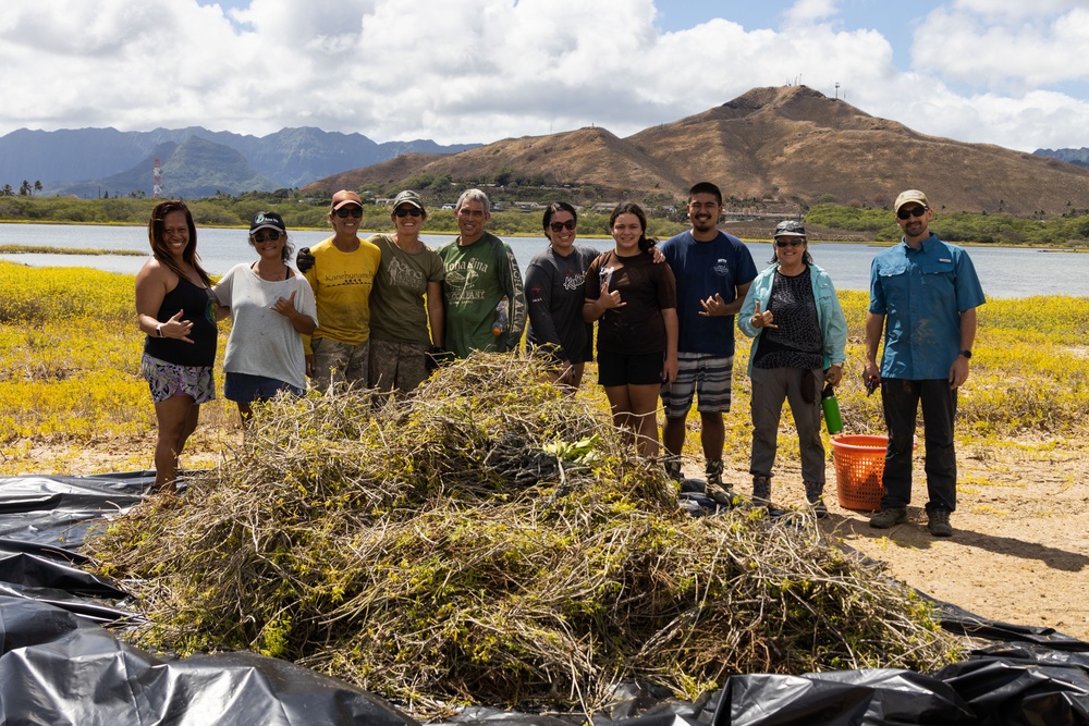 Nu'upia Guardians: Paepae o He’eia Members Remove Invasive Plant Species From Nu’upia Fishpond