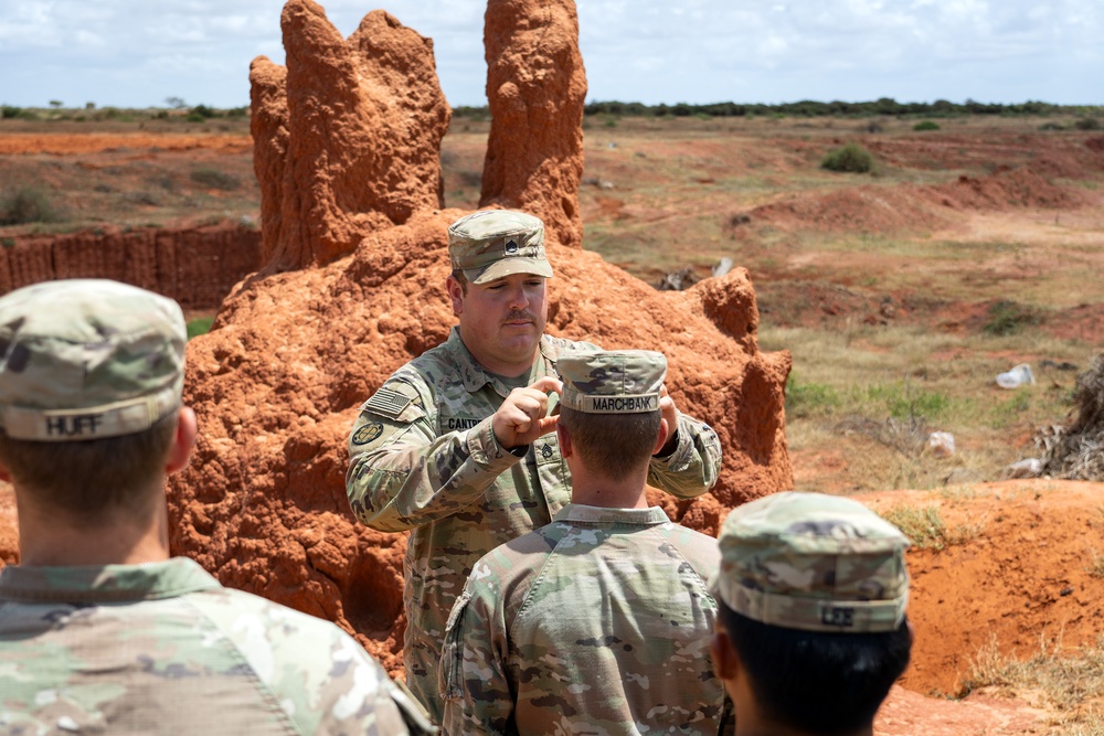 294th Engineer Support Company promotion