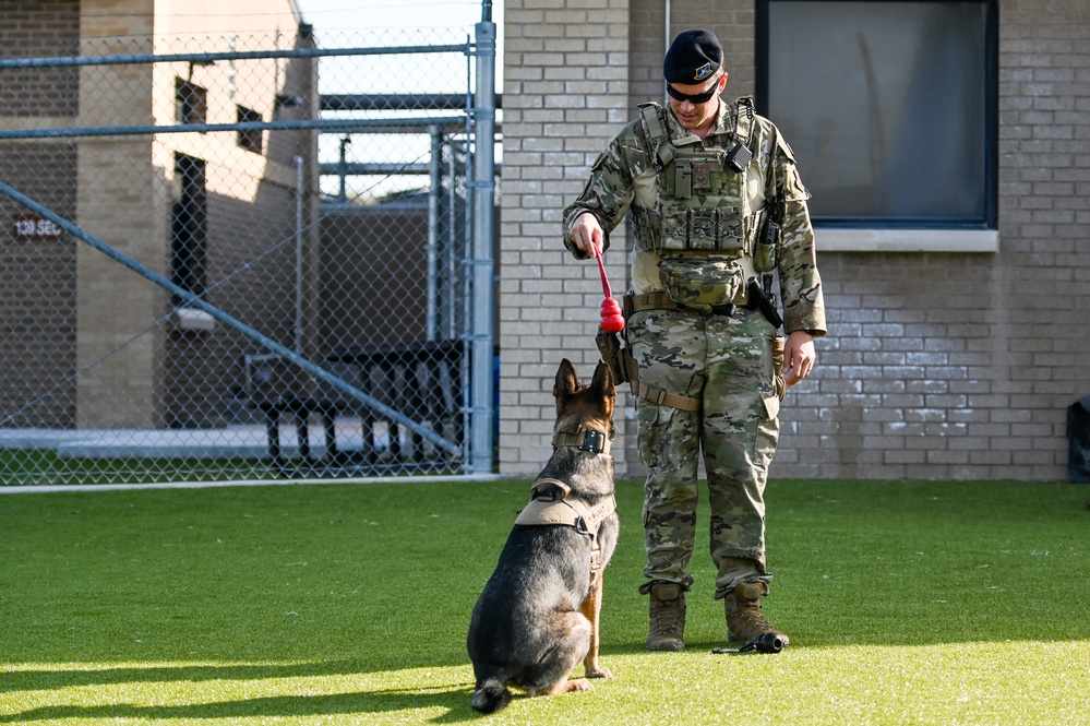 The dedication of Defenders, K-9 partners