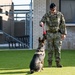 The dedication of Defenders, K-9 partners