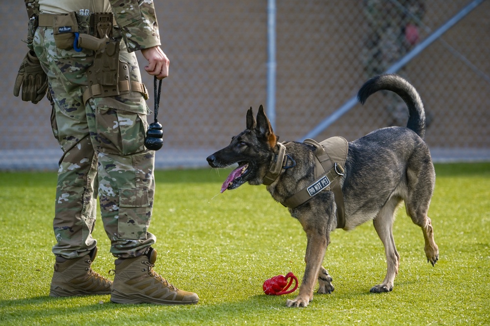 The dedication of Defenders, K-9 partners