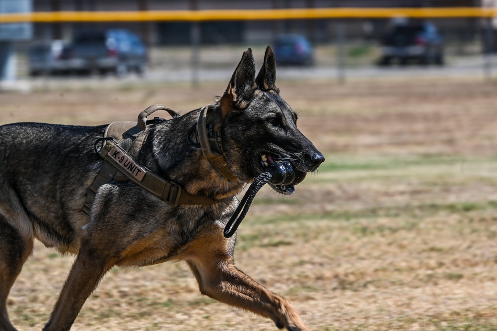 The dedication of Defenders, K-9 partners