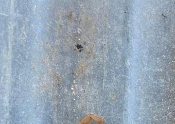 Keeping pests, wildlife at bay