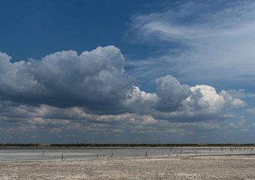 The Future is Priceless