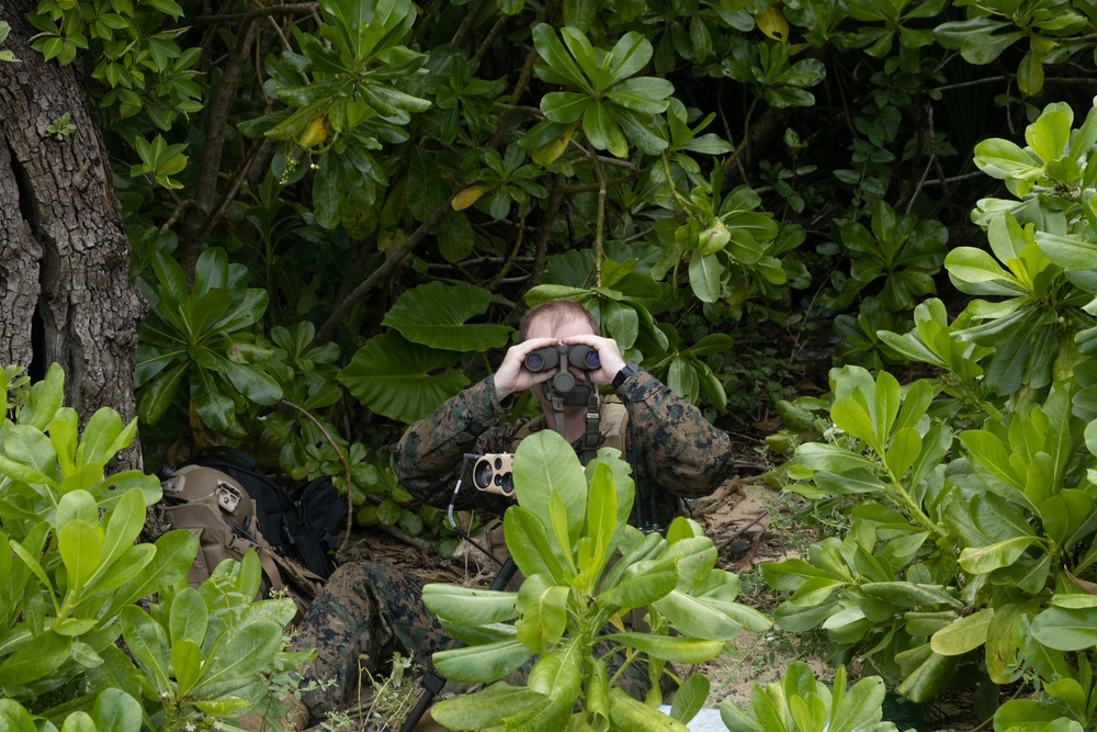 Simulated Close Air Support Exercise