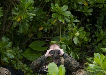 Simulated Close Air Support Exercise