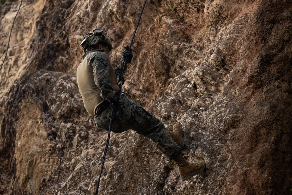 3d Battalion, 5th Marines Basic Jungle Skills Course: Rappelling Techniques