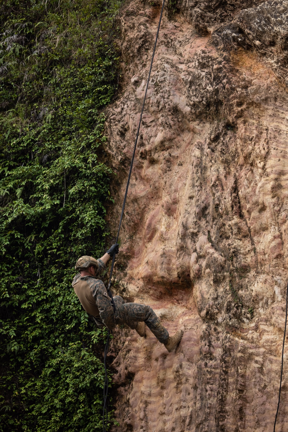 3d Battalion, 5th Marines Basic Jungle Skills Course: Rappelling Techniques