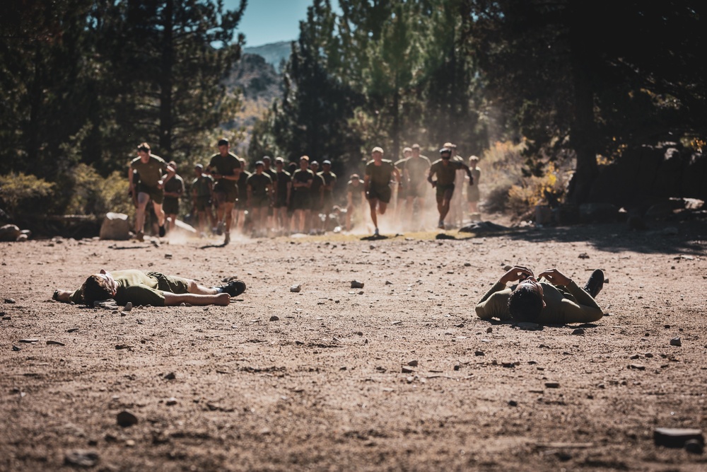 Marines with 2nd Battalion, 5th Marine Regiment, and the French 27 Mountain Infantry Brigade attend classes and perform stream crossing for MTX 1-24