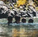 Marines with 2nd Battalion, 5th Marine Regiment, and the French 27 Mountain Infantry Brigade attend classes and perform stream crossing for MTX 1-24