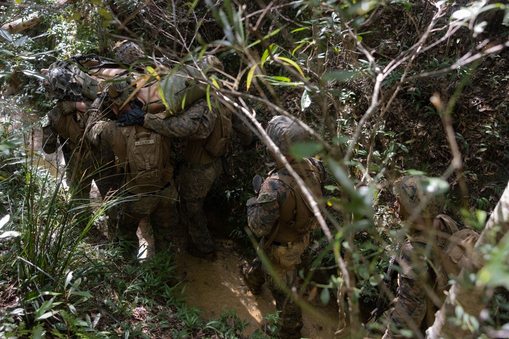 3d Battalion, 5th Marines Basic Jungle Skills Course: Casualty Evacuation Drill