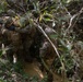 3d Battalion, 5th Marines Basic Jungle Skills Course: Casualty Evacuation Drill