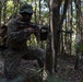 3d Battalion, 5th Marines Basic Jungle Skills Course: Patrol Operations