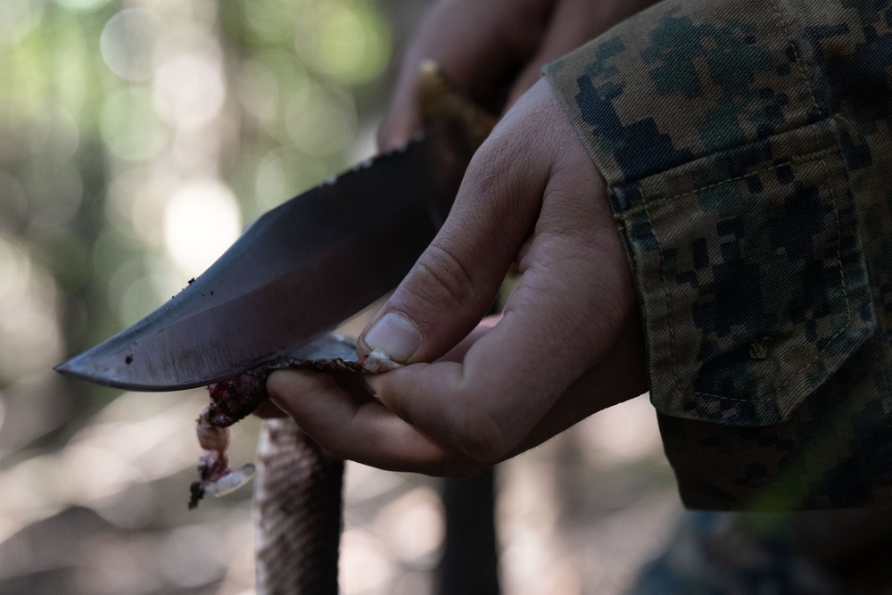 3d Battalion, 5th Marines Basic Jungle Skills Course: Patrol Operations