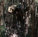 3d Battalion, 5th Marines Basic Jungle Skills Course: Patrol Operations