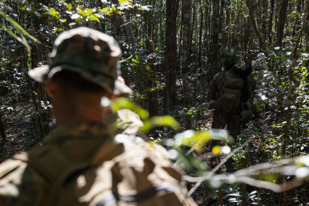 3d Battalion, 5th Marines Basic Jungle Skills Course: Patrol Operations