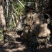 3d Battalion, 5th Marines Basic Jungle Skills Course: Patrol Operations