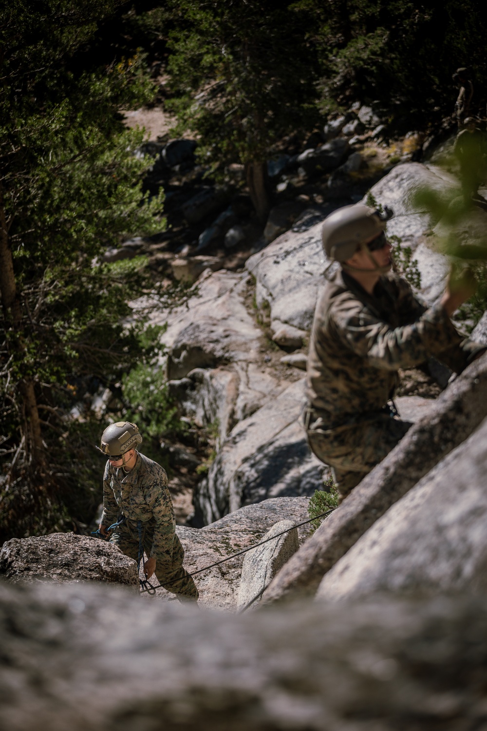 2/5 Marines and the French 27th Mountain Infantry Brigade perform simulated cliff assaults during MTX 1-24