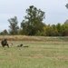 139th Security Forces readiness training