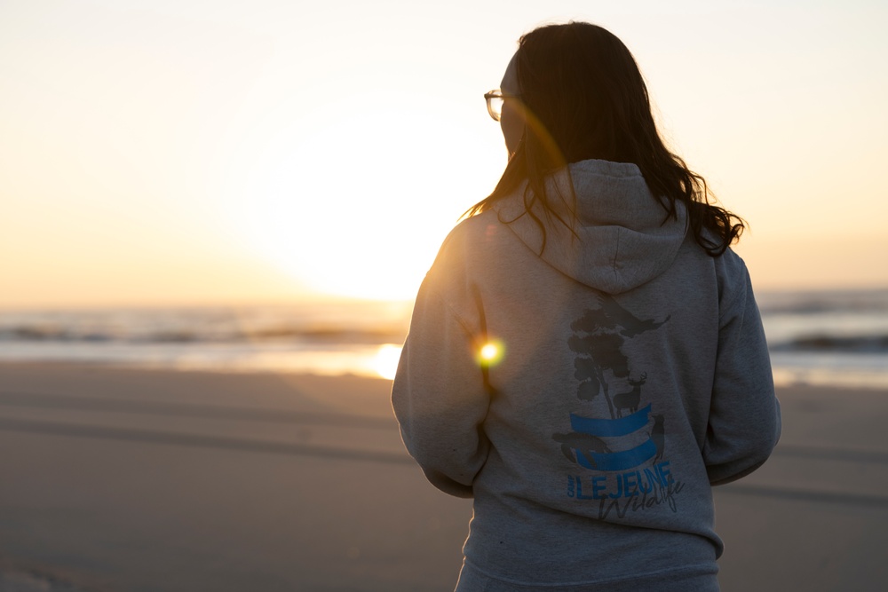 Camp Lejeune EMD Excavates and Inventories Sea Turtle nests on Onslow Beach