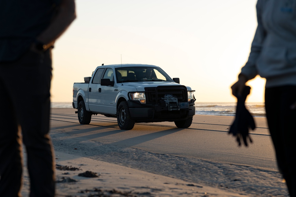 Camp Lejeune EMD Excavates and Inventories Sea Turtle nests on Onslow Beach