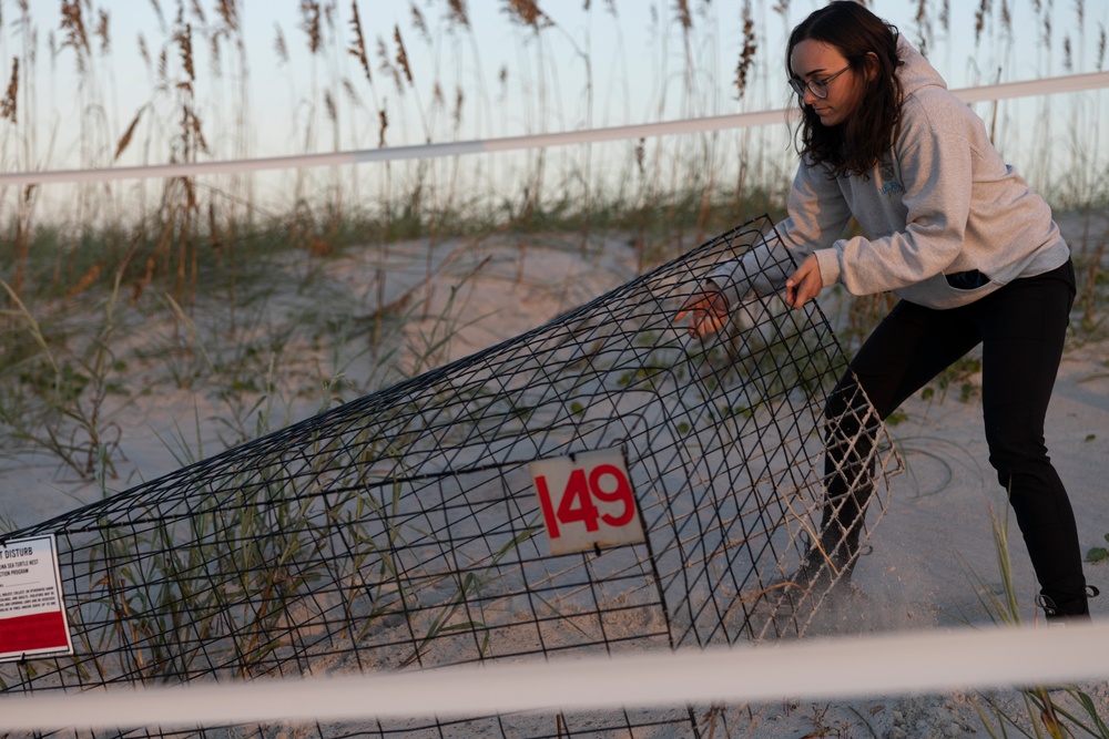 Camp Lejeune EMD Excavates and Inventories Sea Turtle nests on Onslow Beach